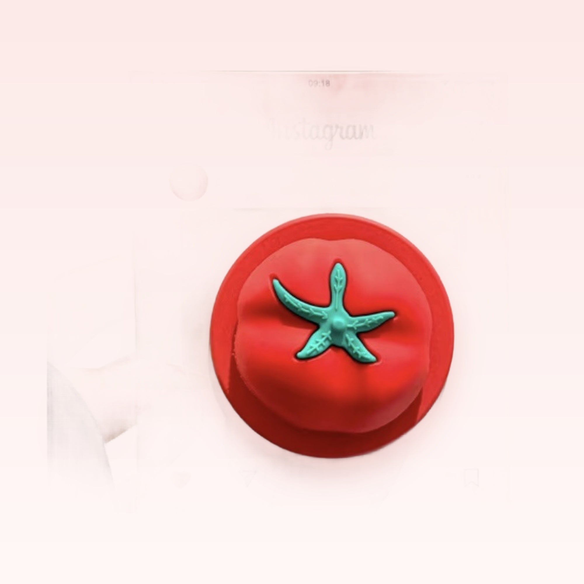 Cute Red Tomato Instagram Phone Grip | Kawaii Pop Socket Stand
